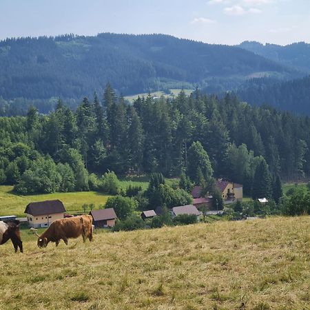 Hotel Penzion Na Lukach Horní Bečva Esterno foto