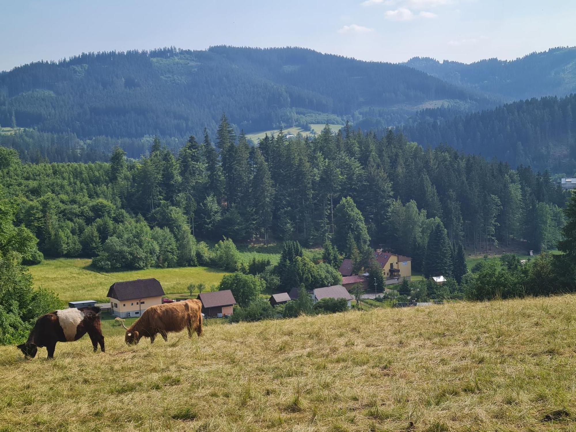 Hotel Penzion Na Lukach Horní Bečva Esterno foto